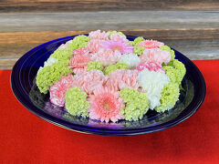 一乗寺　　
台東区谷中にある日蓮宗の寺院で山号は大法山。境内には漢学者大田錦城の墓所（東京都指定旧跡）があることで知られています。通りかかると、季節ごとに牡丹や紫陽花などを拝見させて頂いています。この日は本堂前に、最近流行している「花手水」が飾られていました。
　　　　　　　　　　　　　　（訪問日　２０２４．５．１１）
