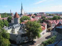 「パットクリ展望台」からの眺め。
この時季、赤い屋根に緑の木々が映えてとても綺麗。