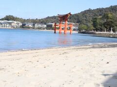 どのような影響があるのか、不思議です