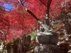 大先生も真っ赤です。