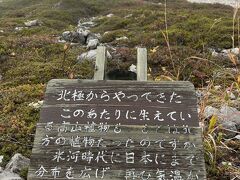 そこから今度は別の道を上って万座温泉まで行ってみることにします。