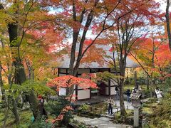 【常寂光寺　仁王門】
常寂光寺は嵯峨野の竹林のはずれと祇王寺、化野念仏寺などの奥嵯峨野の間にある小倉山の山肌にある日蓮宗のお寺で　オレンジ色と赤色の紅葉が良いグラデーションでそれに緑の苔が映える場所です。
この仁王門は室町時代に他の場所で作られのちにここに移築されて来た様です。
