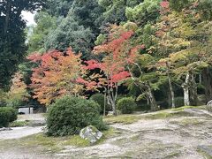 紅葉谷公園