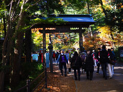 どうやら家の鍵まで財布に入れていたらしい。

良かった、良かった。

財布の主、今日は、陣馬まで縦走するという。
行ってらっしゃい。
また、どこかの山でお会いしましょう。