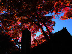 薬王院を抜けて頂上を目指す。