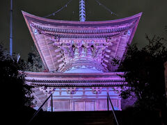 多宝塔のライトアップ