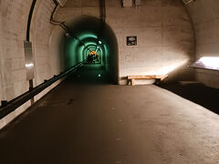 グリーンのトンネル。