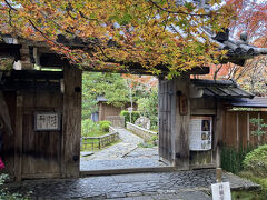 2024.11.21木　AM11：55　宝泉院
京都市左京区大原勝林院町187番地
http://hosenin.net/　　公式HP
拝観料900円　抹茶付き　
