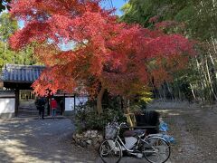 直指庵