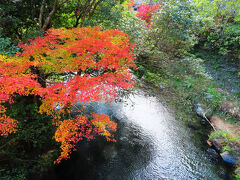 当初の予定では宝ヶ池駅近くにクルマを止めるつもりでしたが、
急遽、修学院駅のコインパーキングに入れてタクることに。
また、いいタイミングで空車発見！
なんとか間に合いそうですｗ

ケーブル八瀬駅近くの高野川にかかる橋の上から。
イイ感じです。

