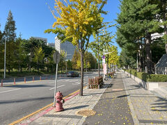 大田(テジョン)に到着、地下鉄1号線政府庁舎駅からホテルに向かって歩いています。
街路樹のイチョウは日本より早く紅葉しています。
宿泊先：東横INN大田政府庁舎前