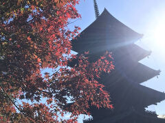 徒歩で京都鉄道博物館に向かって歩き出したのです。

しかし。。ちょっと待てよ紅葉を観に来たんだからこの時期に鉄道を観に行かなくても良いんじゃないのかい？

そう思ったので、急遽行き先を東寺に変更。
確か徒歩で15分位。
東寺、とっても久しぶりに訪れました。