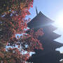 ２０２４　秋の京都