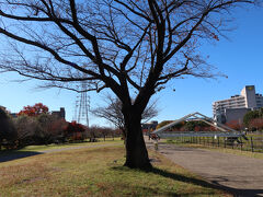 再度腹ごなしのために、ラー博の近くにある新横浜駅前公園へ。川沿いに伸びる公園で腹ごなしにはピッタリ。青い空が眩しいです
