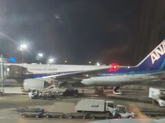 羽田空港(東京国際空港)