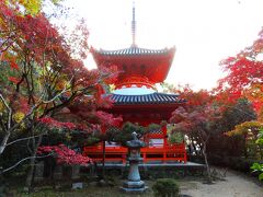 多宝塔は原爆犠牲者の供養のため、1951年に和歌山県広川町の広八幡神社から移築されたものだそうです。