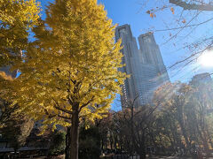 新宿中央公園