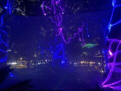 その後ラグーンで最後のひと泳ぎをして、そして一度かえって、夜はケアンズのお祭りへ。