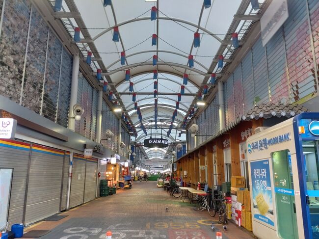 朝早いので昨日の昼間よりまだ静かなものです