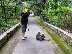2024/11/28 14:55 モンキーフォレスト
とてつもなく暑いが、せっかくなので観光。
入場料、1人800円取られるので注意。
