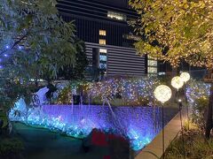 試合終了後に大名古屋ビルヂング クリスマスイルミネーション

人が大勢いました。