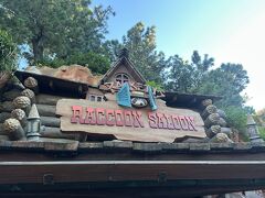 ラケッティのラクーンサルーン