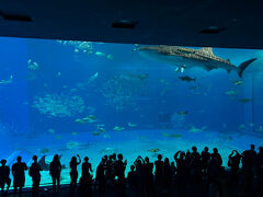 両親と1日、沖縄観光する予定でしたので、まずは美ら海水族館へ。
すごい荒天で、行くまでも凄い雨。。
とりあえず館内へ。
それにしても天気のせいか、凄いお客さんの人数。
かなり混んでいました。
