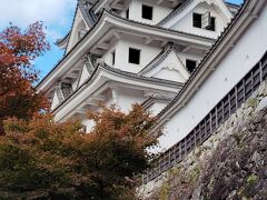 郡上八幡城まで歩いて登ってきました。