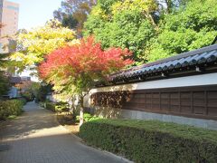 足を伸ばし、小石川後楽園へ。
