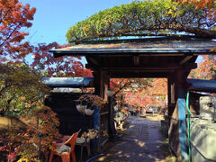 小林もみじ園（埼玉県川口市安行領家）
かえで、もみじ専門の植木屋さんです。
