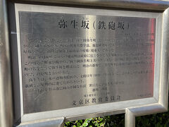 弥生坂をぶらぶら。