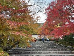 紅葉の馬場
総門を抜けた先に広がる真っすぐに伸びた参道
白壁に映えますね
