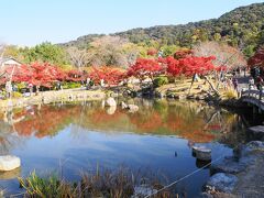 そして、突き当たりが円山公園。