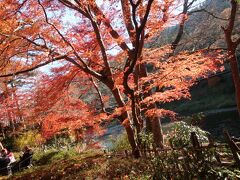 清流ガーデン澤乃井園の川沿いの席は既に８割型埋っていた。 
