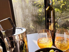 帰りも、ホテルのシャトルバスの時間に合わせて…。
送ってもらいました。
流石にさらに駅からホテルまでは歩けないかなー。後2キロちょっと追加することになるので…（笑）
今日もまたテラスで寛ぐ昼下がり♪
アイスワインと葡萄で、至福の時間☆