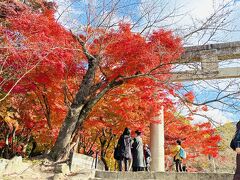 『宝満宮　竈門神社』
福岡県にある、神々が宿る山として崇められてきた宝満山の麓に鎮座する神社です
宝満山の登山口として、また縁結びの神様として親しまれており、秋の紅葉シーズンには300本あ流カエデなどが様々な色に変化し境内を彩ります