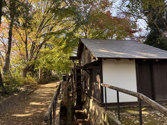 恩多野火止水車苑