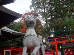 ■三光稲荷神社

ピンクのかわいいハートの絵馬がたくさん吊るされている神社。ピンクだるまもなかなかキュートです。