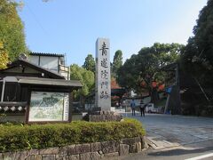 青蓮院門跡に来ました。立派な大楠が見えますね。
