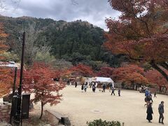 香嵐渓広場に来ました。

