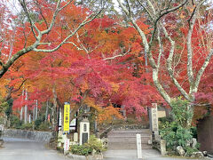 2024.12.3　火曜日　AM7：00　毘沙門堂
https://www.bishamon.or.jp/　　公式HP
京都市山科区安朱稲荷山町1　P=裏手に200台位止められる
拝観料700円だが殆どが表の境内で楽しめる為に経費は何も掛からない。

