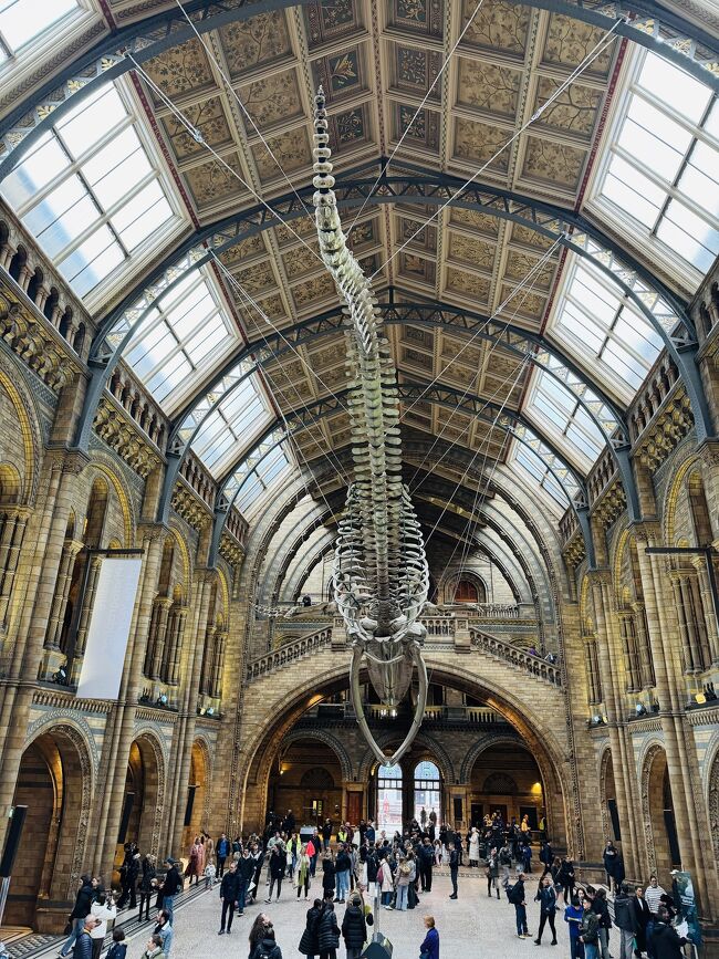 クリスマスカラーのロンドンへひとり旅 自然史博物館 クリスマスカラーのロンドンへひとり旅 自然史博物館