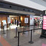 2024SEP「JALどこかにマイル伊丹夫婦旅」（1_HND→ITM）