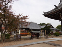 「宝土寺」は、この界隈では比較的広い境内を有するお寺でした。木々の葉が色づいていたのも印象的でした。