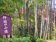 店主のご厚意で、車を屋台の隣りに停めさせてもらって、竹林の小径を散策した。

