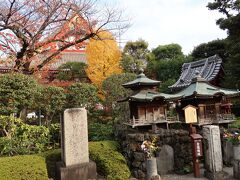 本堂の東側にある浅草公園には影向堂を初めてとして色んなお堂や、仏像等の文化財が数多く並んでおり、外人に人気です