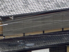 窓の下には一筋東の堺町通りにある「和久傳」の暖簾が見えました。最終日にでもお土産を買って帰ろうと思いながら忘れてしまいました。