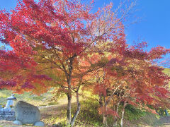 故郷の福知山で墓参りと友人のお見舞い。霊園周辺は紅葉が見頃でした