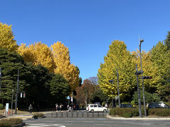 乾門を出て、すぐそばにある北の丸公園に入ります。