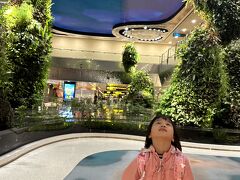 早朝4時半。
定刻より少し早めにチャンギ国際空港に到着しました。

私はというと、機内では一睡もできず…
前の座席の人は『ここはビジネスクラスかな？』っていうくらいシートを倒してきて
後ろの人はトイレに立つたびに私のシートをグッと掴んできて、
極め付けに通路はさんだ斜め前のおばさまは寝ているにもかかわらずずっとモニターが明るいまま…
こればっかりは運とはいえきつかった・・・

爆睡できた子供達は到着した瞬間から元気いっぱい、チャンギ空港に圧倒されていましたとさ。
